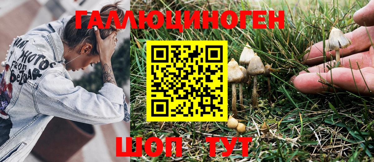 Псилоцибиновые грибы GOLDEN TEACHER  Вход с VPN  Улан-Удэ 
